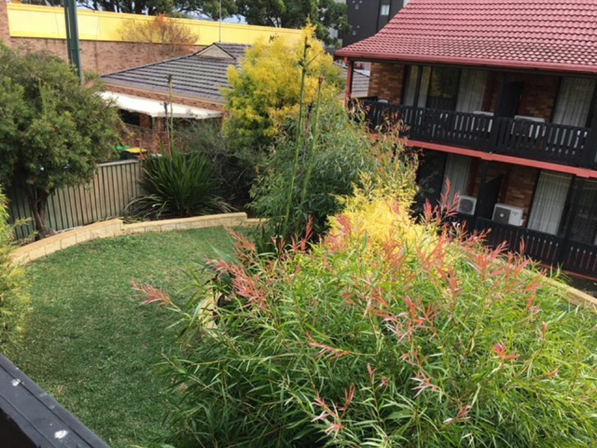 Maclin Lodge Motel Campbelltown Exterior foto